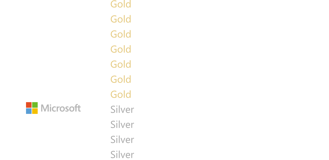 Microsoft Partner Logo